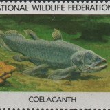 1979-coelacanth