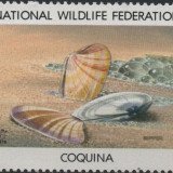 1979-coquina