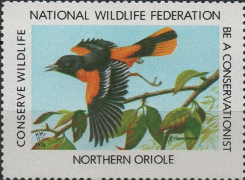 1979 northern oriole
