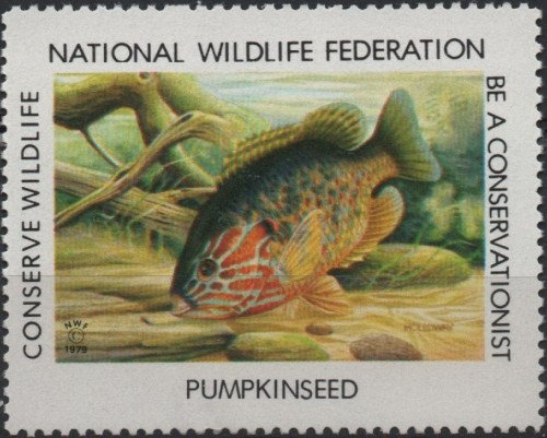 1979-pumpkinseed.jpg