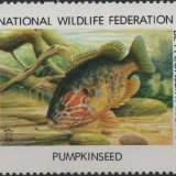 1979-pumpkinseed