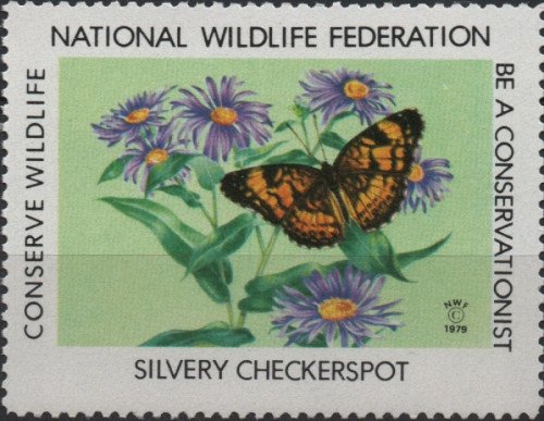 1979-silvery-checkerspot.jpg