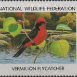 1979-vermilion-flycatcher