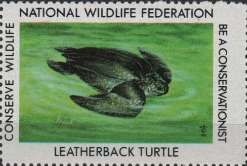 1982-leatherback-turtle.jpg