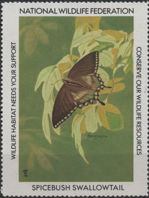 1984-Spicebush-Swallowtail.jpg