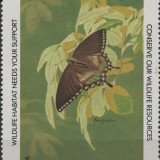 1984-Spicebush-Swallowtail