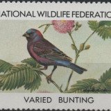 1984-Varied-Bunting