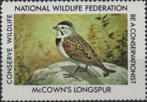 1982-3-McCowns-Longspur.jpg