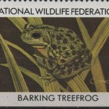 2-1984-barking-treefrog