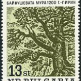 bulgaria-oldtree