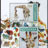 Botswana-2