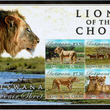 Botswana-3