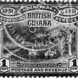 0000067007_YIQ_Qnorm_w_0.1pctequalized8-bit_full