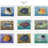 tropical-fish-1967-poland-stamps
